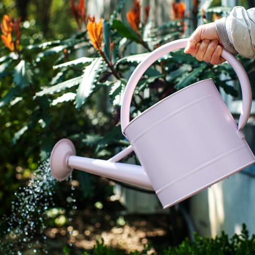 1.3 Gallon Matte Pink Metal Watering Can, Removable Spout - color: Velvet Pink, size: 1.3 Gallon