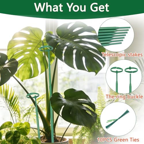 Telescoping Monstera Plant Stakes, 12.5-48.4IN Indoor Plant Support- 5Pack - size: 5pcs