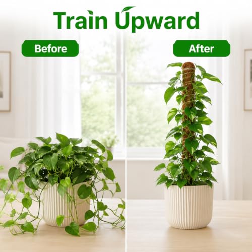 2 Pack Moss Pole for Monstera, 28in Coir Bendable Plant Support Stakes - size: 2 Pack ( 28-Inch)