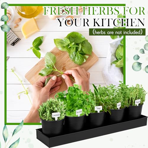 FoldTier 2 Sets Indoor Herb Garden Planter Kit with 10 Metal Pots, Black - color: Black