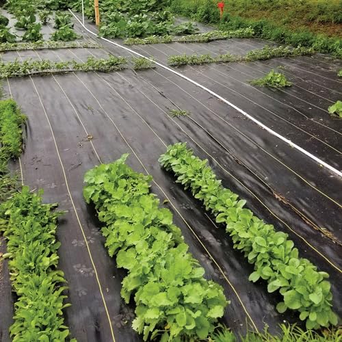 Dewitt Sunbelt Heavy-Duty Weed Barrier Fabric 3.2 oz, 6 x 300 Feet, 5-Pack - size: 5 Pack, style: 6' x 300'
