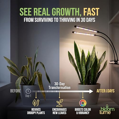 Bloom Lume LED Grow Lights for Indoor Plants Full Spectrum 6000K - Plant Grow Lights Indoor Features Multi Mode Color Spectrums (Red, White & Blue), Dimmable, Auto Timer, Clip on Gooseneck Plant Lamp