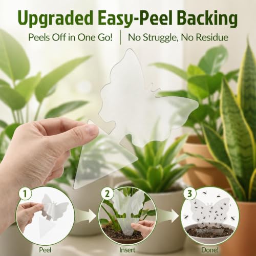 100 Pack Gnat Traps, Double Sided Plant Sticky Traps for Indoor Bug, Clear - color: Clear