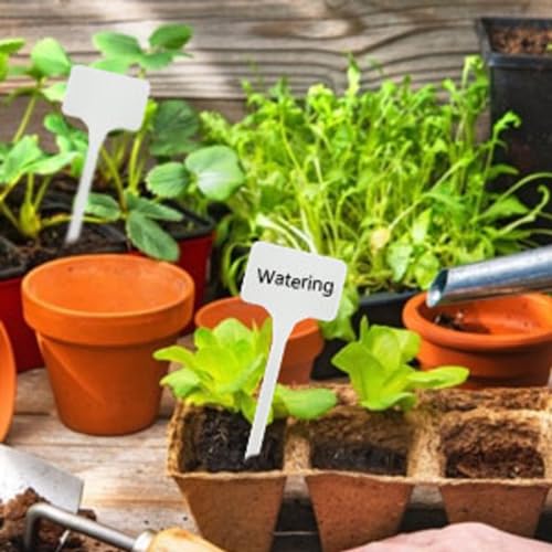KINGLAKE GARDEN Large Plastic Plant Labels 6 Inch 50 Pack White Extra Large