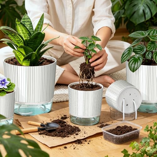 6 Pack Self Watering Pots for Indoor Plants, 4/5.5/6.3 Inch Flower Pots - color: 2s+2m+2l, 6pcs Black Stripes