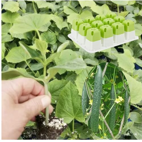 5pcs Seed Starter Tray,60 Cells Silicone Seeding Starter with Pop-Out Cells - size: 5PCS Green