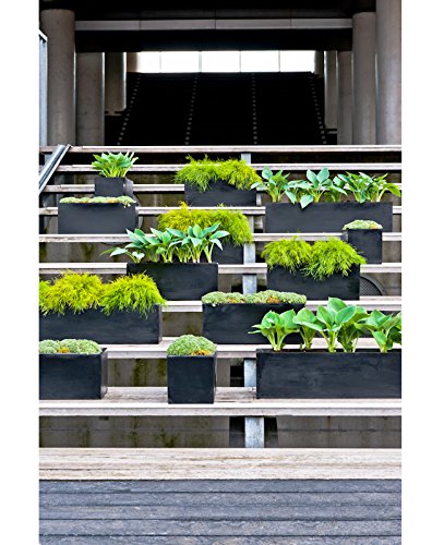 Modern Rectangle Balcony Window Cement Gray Planter Box Elegant Rectangular 8" H x 8" W x 32" L Flower Pot - color: Cement Grey, size: 8x8x32