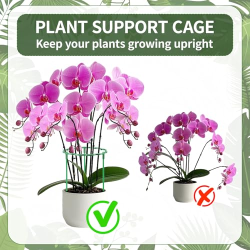 36 Pack Plant Support Stakes Sets - Versatile Plant Cages, Stackable Garden Flower Support, Small Plant Stakes for Indoor Plants,Tomato,Monstera, Peony, Hydrangea, Climbing Plants - size: 6.3*9.8IN(pack of 36)
