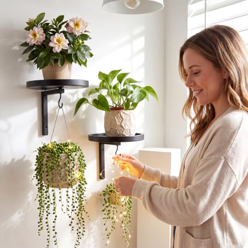 6 Pack Wall Plant Holders 7.9 Inch Black Metal Hanging Plants Hanger Shelves Heavy Duty Rustproof Iron Floating Window Plant Display Stand with 6 Hooks for Indoor Outdoor Wall Art Decor