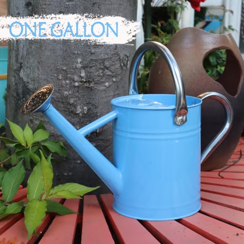 Metal Watering Can, 1 Gallon for Outdoor Garden Plants, Blue - color: Blue With Stainless Steel Handle