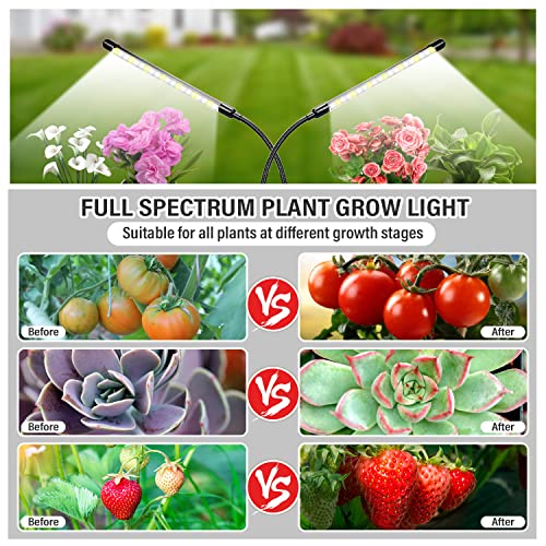 bseah Plant Grow Light for Indoor Plants, Full Spectrum Indoor Grow Light, 10-Level Dimmable and Auto ON & Off Timer (2 Head 2 Pack) - color: Yellow&White(2 Tubes 2 Pack)