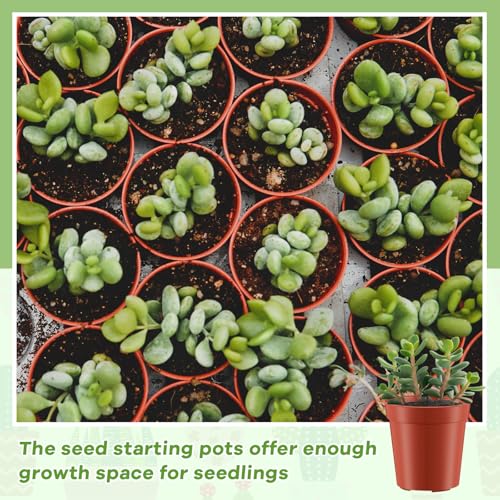 Yaomiao 200 Pcs 2 Inch Red Mini Nursery Pots with Drainage Holes - color: Red, size: 2 Inch