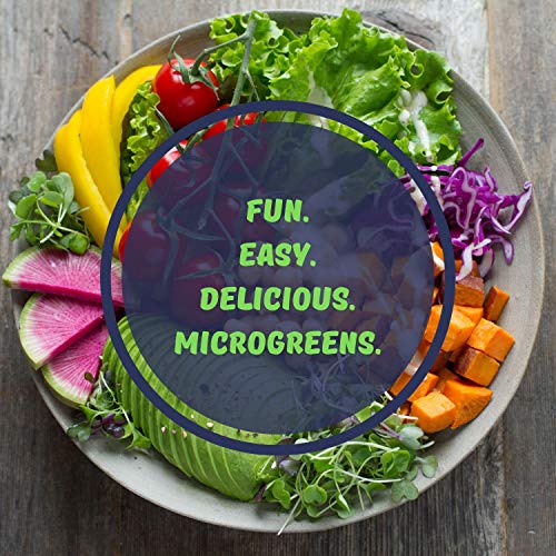 Mountain Valley Seed Co Self-Watering Indoor Microgreen Kit Soil Hydroponic - size: Combo