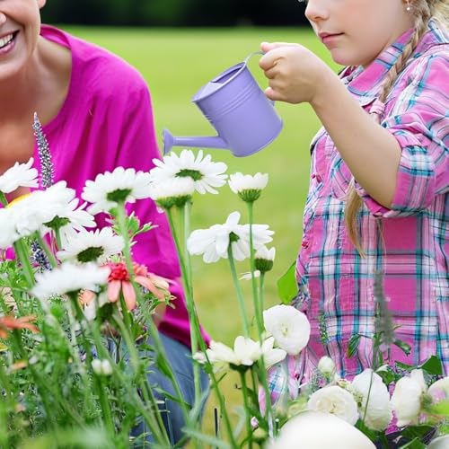 Small Metal Watering Can Set, Pink, 1.2L and 0.23L Garden Cans with Long Spout, Indoor Outdoor Plant Care (Purple) - color: Purple