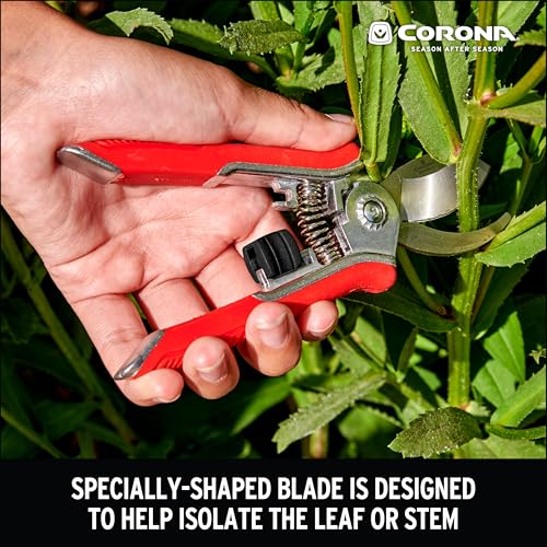 Corona BP 13623 Yard Essentials Houseplant Pruners, Red - size: Houseplant Pruners