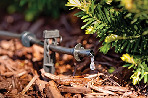Rain Bird BUE10-25S Drip Irrigation Button Dripper/Emitter, 1 Gallon Per Hour, 25-Pack - size: 25-Pack, style: 1 Gallon Per Hour