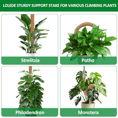 4 Pack Moss Pole, 27.5 Inches Bendable Coco Coir Poles Monstera Plant Support for Climbing Indoor Plants, DIY Plant Stakes Kit Support for Pothos, Philodendron,Potted Plants - size: 27.5 Inches(4 Pack)