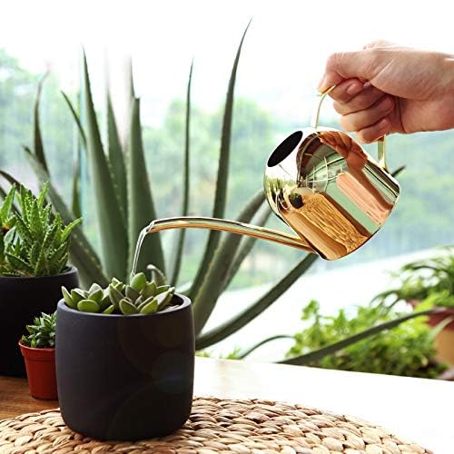 Small Watering Can for Indoor Plants, 15oz/450ml Stainless Steel Long Spout Watering Can for Succulents, Herbs (Gold) - color: Gold
