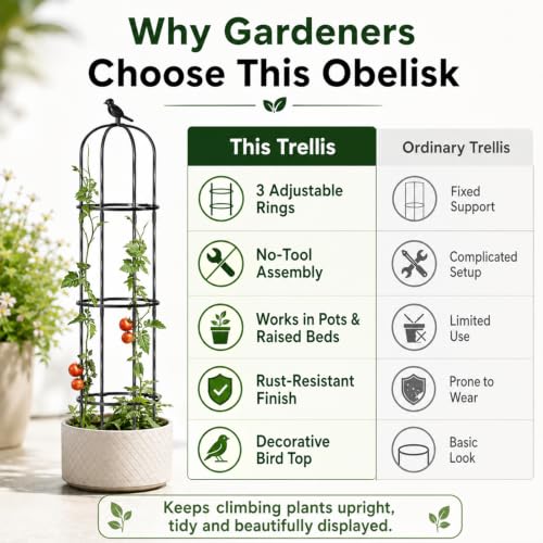 FOLLOOK Garden Obelisk Trellis for Climbing Plants Outdoor, 2 Pack - color: 67"-Black-2PK
