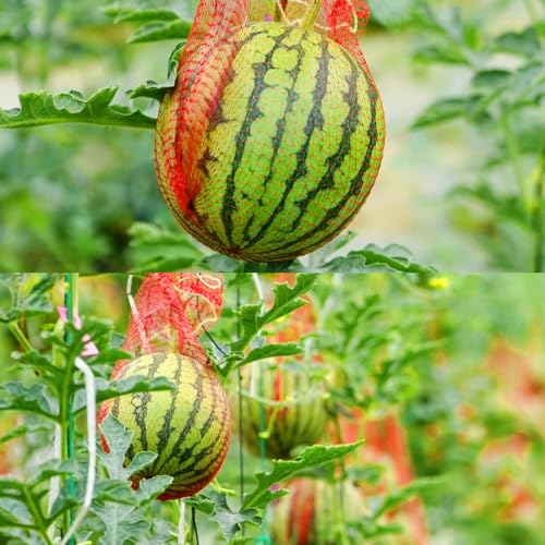100 Pack Watermelon Nets, Reusable Hanging Melon Support Nets - color: 100pcs