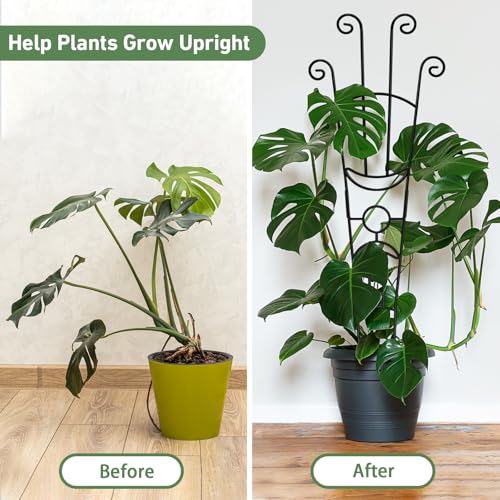 32.6in Plant Trellis for Climbing Plants Indoor, Expandable Large Metal Trellis for Potted Plants, Heavy-Duty Tall Pothos Plant Climber Support for Ivy Pothos Hoya Monstera, 4P - size: 32in, 4p