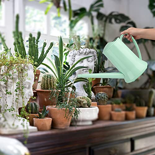 XXXFLOWER Small Watering Can, 67oz (1/2 Gallon) Indoor Houseplants Green - size: Green-2L