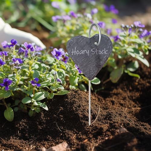 20Pack Silver Plant Label Hooks,Rust-Proof Garden Stake Markers, 30cm/11.81in Plant Sign Supports for Flowers, Planters, and Containers.