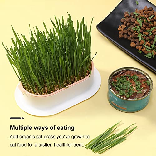 2Pcs Cat Grass Planter for Indoor Hydroponic Wheatgrass Seed Sprout Tray Organic Cat Grass Growing Kit (No Seeds Included) Soilless Pot Planting Box (G) - color: G