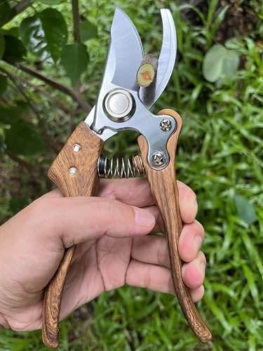 Pruning shears for gardening, Floral cutter, German Stainless Steel Blades, 1 inch Cut Capacity, Garden Snips for flowers with Non-Slip Handle, Lightweight & Ergonomic Professional