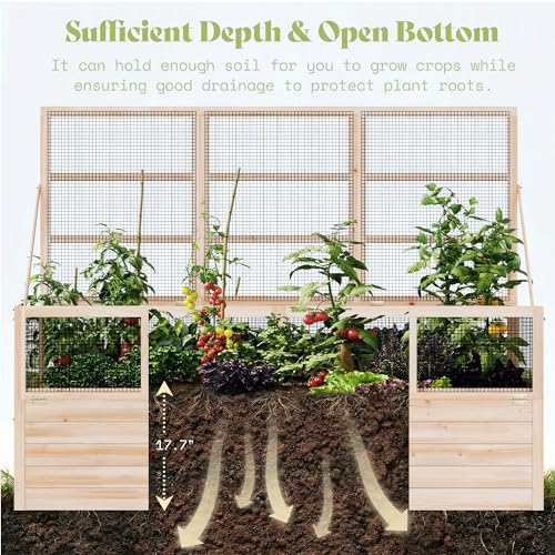 AMERLIFE Raised Garden Bed with Fencing and Trellis,18" Planting Depth - size: 6.6x5.6x3 FT