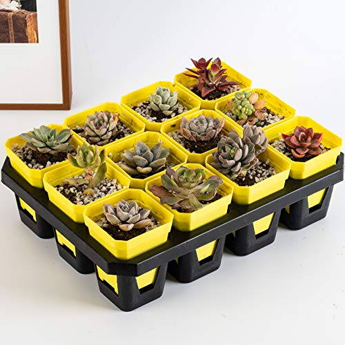 30Pcs 3" Plants Nursery Pot with Saucers Yellow, Square Planting Pots - color: Yellow