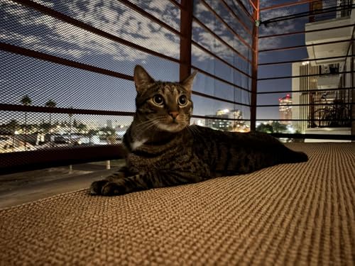 Patio Mosquito Netting, 10x13FT UV Resistant Bug Mesh for Balcony & Plants - size: 10x13 feet