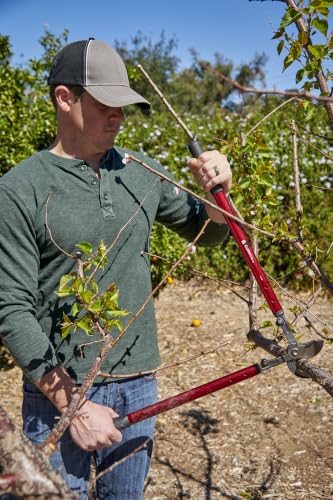 Corona AL 6512 High-Torque RadialARC Bypass Lopper, 26 Inch, 2 Inch Cut Capacity