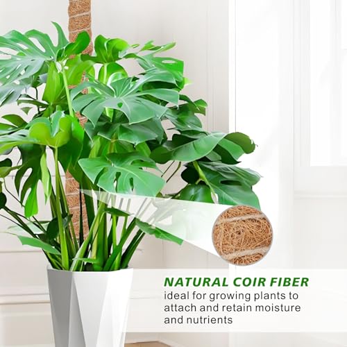 GUIDOT 2 Pack Moss Pole Monstera Plant Support with Repotting Mat, 28 Inch Plant Support Stakes, Plant Sticks Support Tall for Indoor Potted Climbing Plants, Pothos, Philodendron