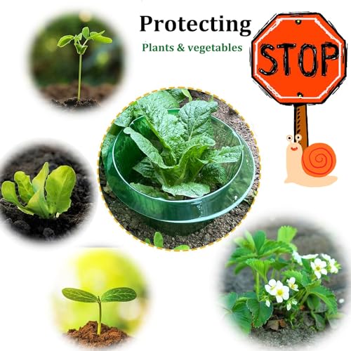 Fshow Slug & Snail Collars,30pcs Snail Garden Cloches,Snail Collar Protects Plants to Get Better. - color: green 30pcs