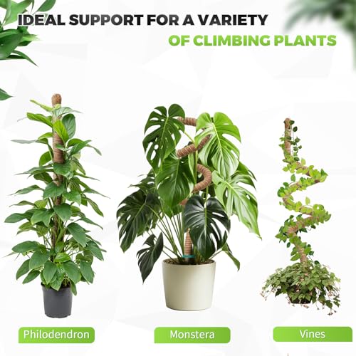 Moss Pole Monstera Plant Support 2 Pack 50 Inch Bendable Monstera Support - size: 50 in (2 Pack)