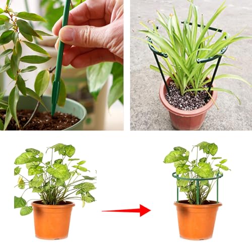 T TOVIA Small Plant Stakes, 12pcs Plant Support Stakes Small Tomato Cage - size: 5.5" X 5.5"