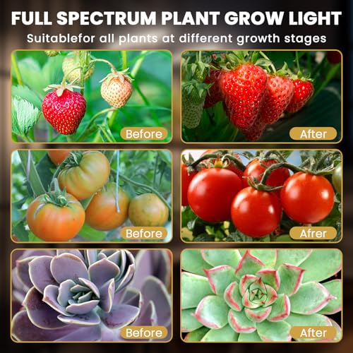 Plant Light Grow Light for Indoor Plants 2 Pack, Full Spectrum Indoor Grow Lamp, 10-Level Dimmable and Auto ON & Off Timer - color: Yellow&White(3 Tubes 2 Pack)