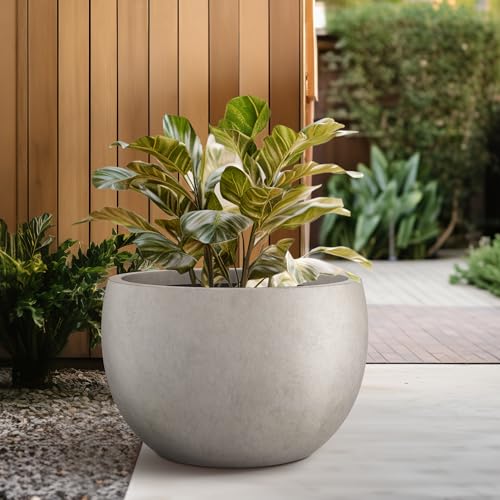 Kante Large Round Bowl Weathered Concrete Planter 20" Dia, Outdoor - color: Weathered Concrete, size: 19.9" d