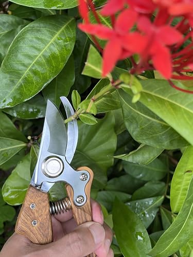 Pruning shears for gardening, Floral cutter, German Stainless Steel Blades, 1 inch Cut Capacity, Garden Snips for flowers with Non-Slip Handle, Lightweight & Ergonomic Professional