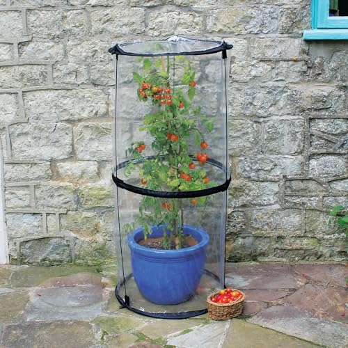 Tierra Garden 50-6070 Haxnicks Pop Up Tomato Cloche