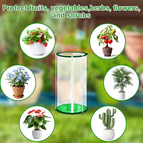 3 Pack Mini Greenhouse Cover, PVC, 22.8×12.6 Inch