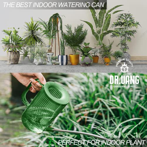 Small Watering Can Indoor Plants with Long Spout (1L, Green) - color: Green