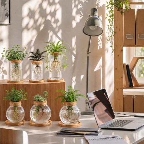 Honeydak 6 Pcs Plants Propagation Station Desktop Glass Propagation Round - color: Round Glass Bottle