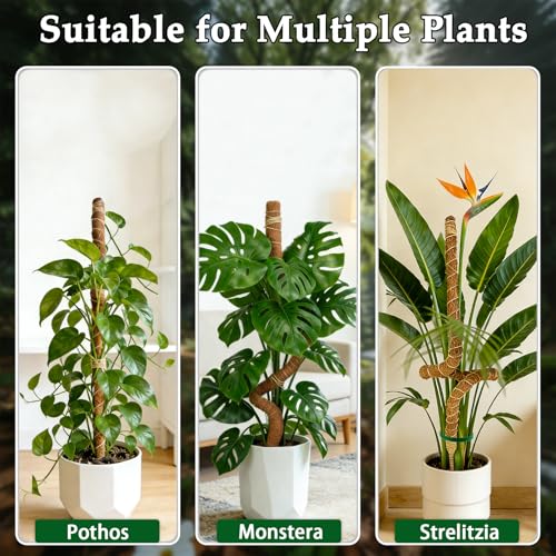 2 Pack 48" Monstera Plants Bendable Moss Pole for Climbing
