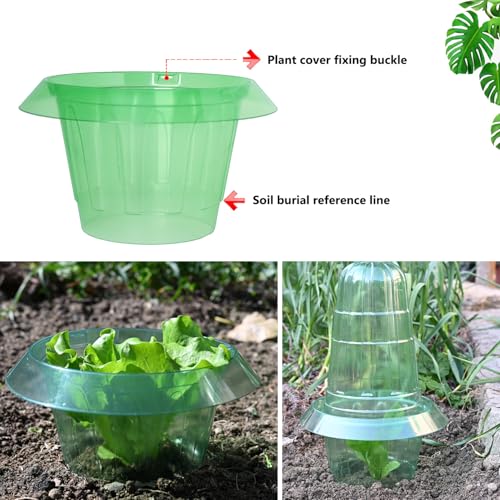 10 Pack Slug Collars for Plants - color: Green 10 PCS