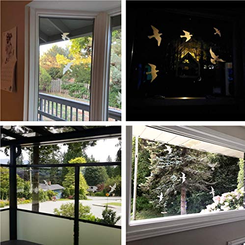 Anti Collision Window Bird Stickers Decals Glass Door Protect and Save Bird Strikes (Transparent 36 Pcs) - color: Transparent-36 Pcs