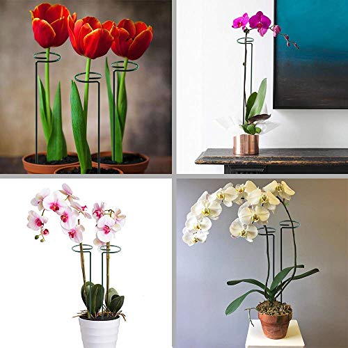 HiGift 17 inch Plant Support Stakes, 4mm Thick Garden Single Stem Flower Support Stake Amaryllis Plant Cage Support Rings with 10 pcs Plant Clips for Tomato Orchid Lily Peony Rose Flower Stem-5 Pack - size: 17 Inch-5 Pack