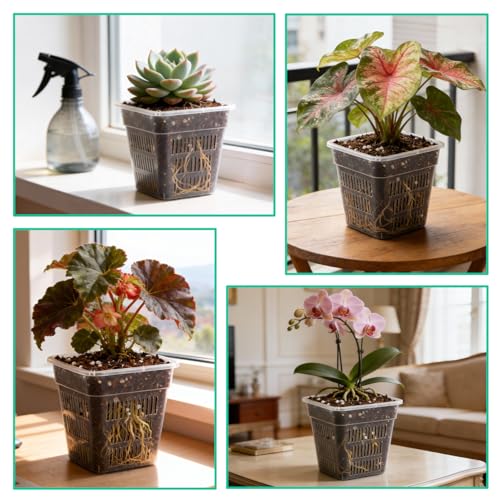 BTPLASTIK Clear Square Nursery Pots, 30 Packs 4 Inch Clear Hydroponics Growing Square Pots, Transparent Plastic Plant Pots for Seed Starting, Root Cutting - size: 4 Inch-30P