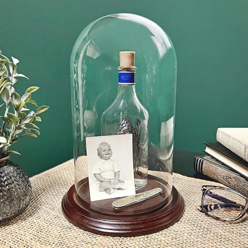 Plymor 5.5" x 10" Glass Display Dome Cloche (Dark Mahogany Veneer Base) - color: Dark Mahogany Veneer Base